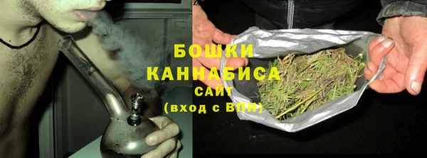 амф Богданович