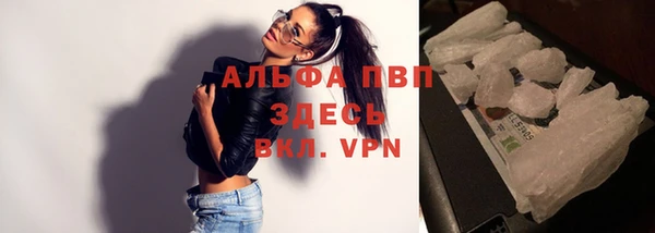 амф Богданович