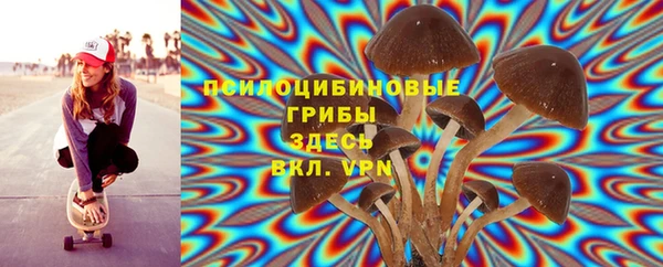 амф Богданович
