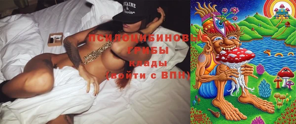 амф Богданович
