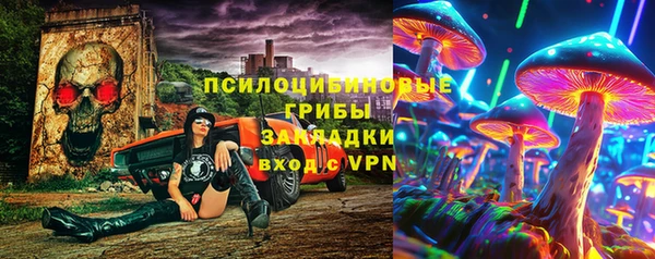 амф Богданович