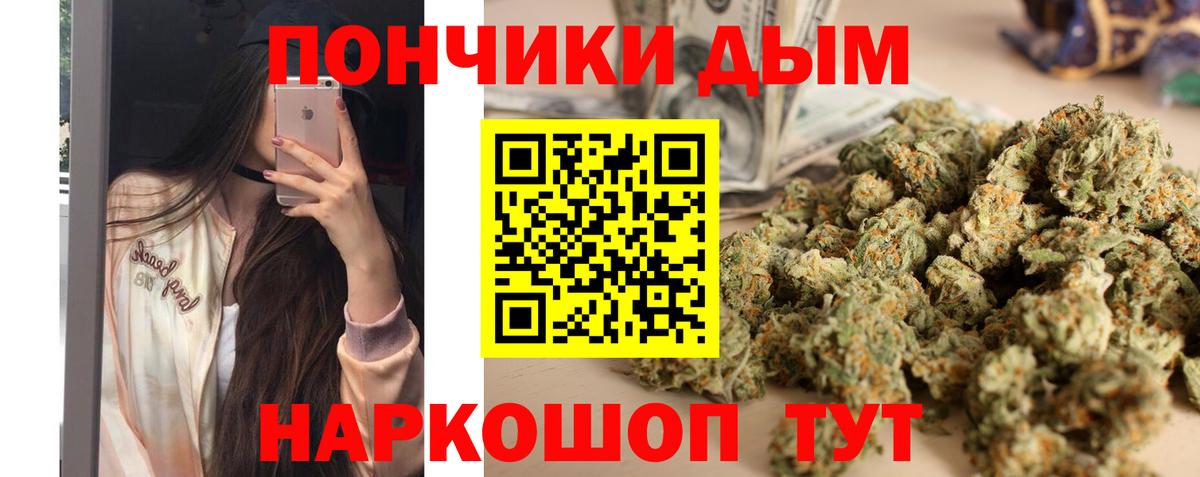 Шишки марихуана марихуана Дальнегорск